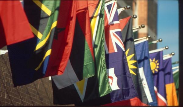 types-of-aid-flags_0.jpg